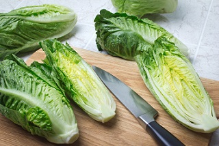 Romaine sample from Michigan tests positive for E. coli O157:H7 linked to illnesses