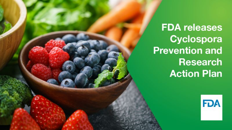 Research action plan and response to Cyclospora contamination released by the FDA