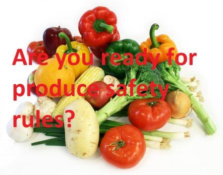 are-you-ready-produce