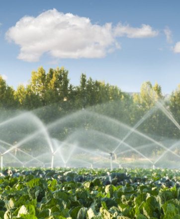 FDA Launches Agricultural Water Assessment Builder to Help Farms Understand Agricultural Water Proposed Rule Requirements