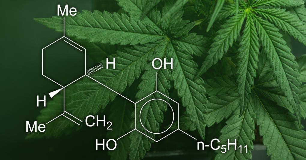 FDA warns 15 companies for illegally selling products containing cannabidiol