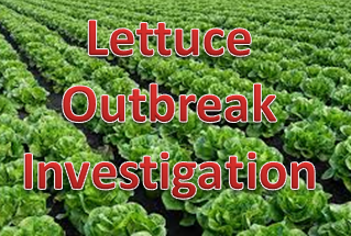 FDA update of the investigation of E. coli O157:H7 outbreak linked to romaine from Salinas, California