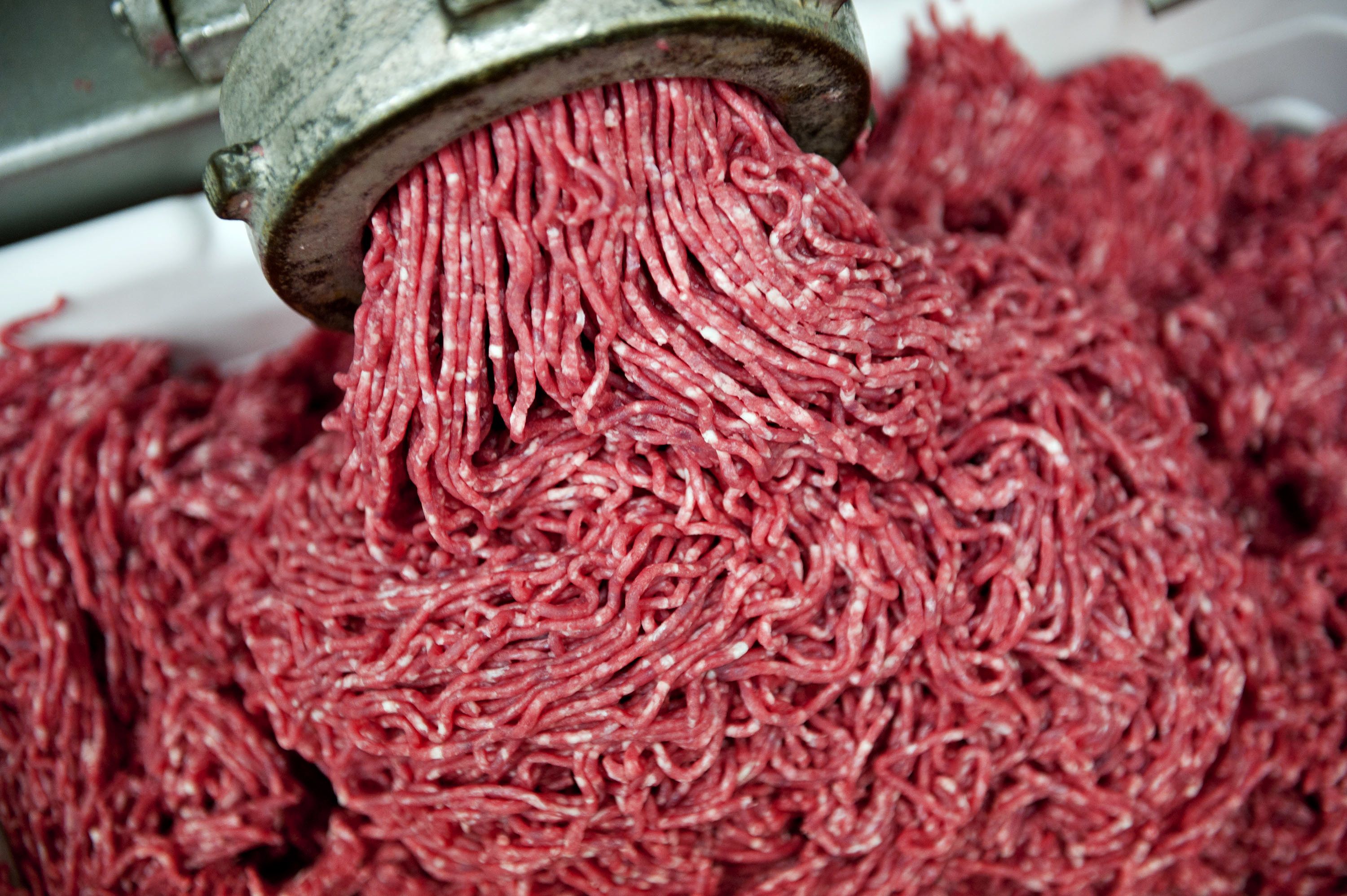 Outbreak associated with ground beef due to Salmonella Dublin