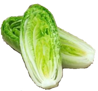 CFIA announced temporary import requirements for romaine lettuce from the United States (2023)