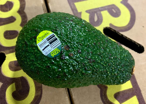 Can avocados be a source of Listeria monocytogenes Infections?