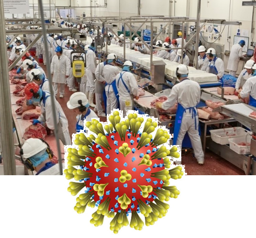 Infection rates of COVID-19 in meat plants workers plummeted in February