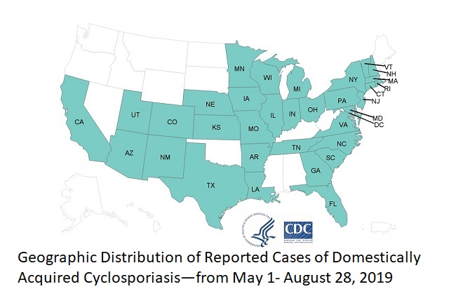 Domestically Acquired Cases of Cyclosporiasis in the US May–August 2019
