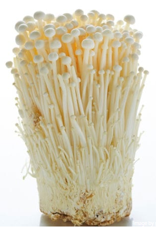 Green Day Produce recalled enoki mushrooms due to Listeria monocytogenes