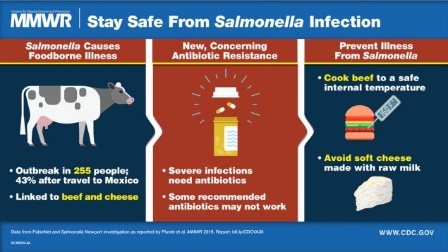 CDC illustration Salmonella outbreak