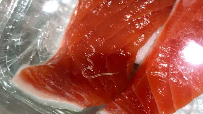 Research finds evidence of a large increase in parasitic worms in raw seafood dishes