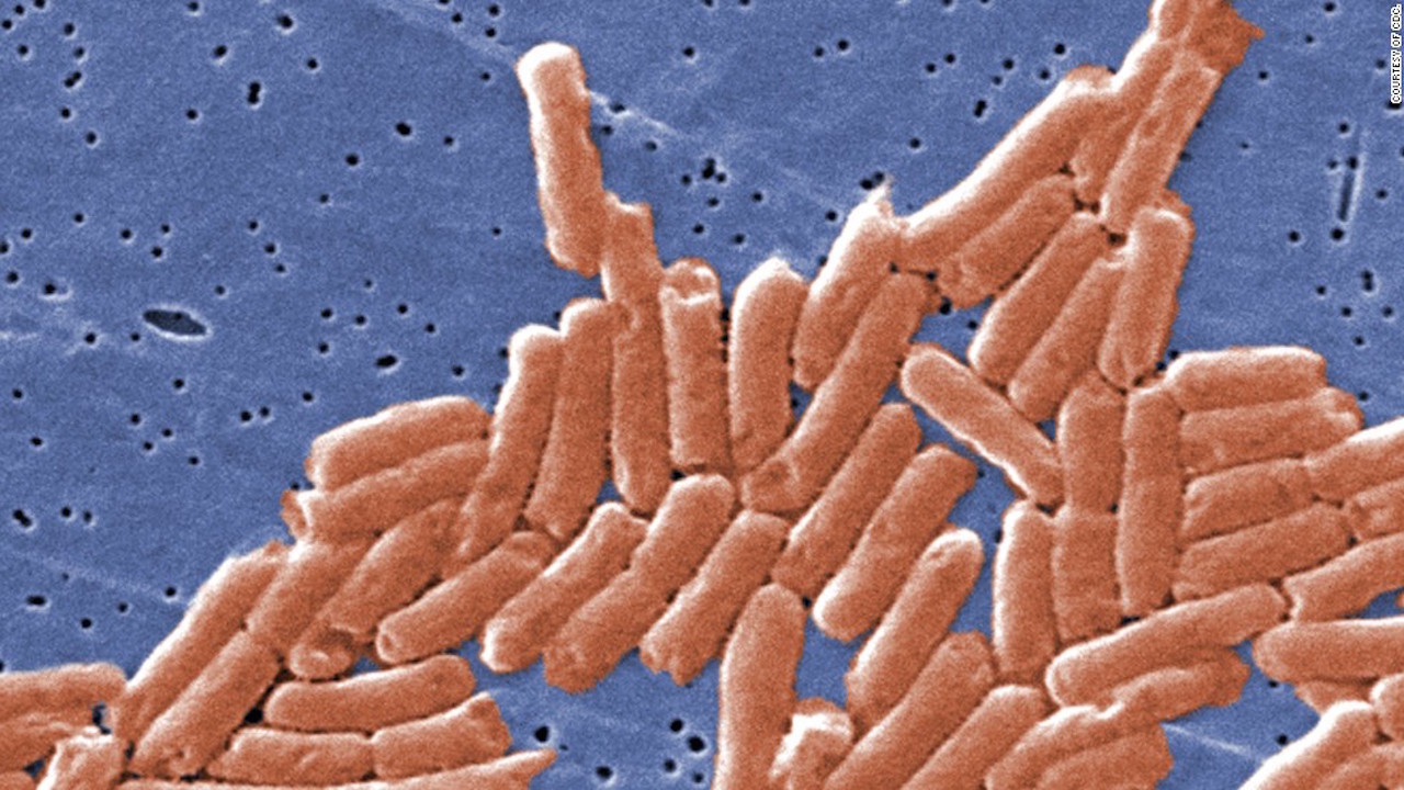 Salmonella outbreak in the UK linked to chicken products