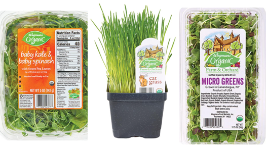 Wegmans Food Markets announces recall of products containing Micro Greens, Sweet Pea Leaves, and Cat Grass due to Salmonella