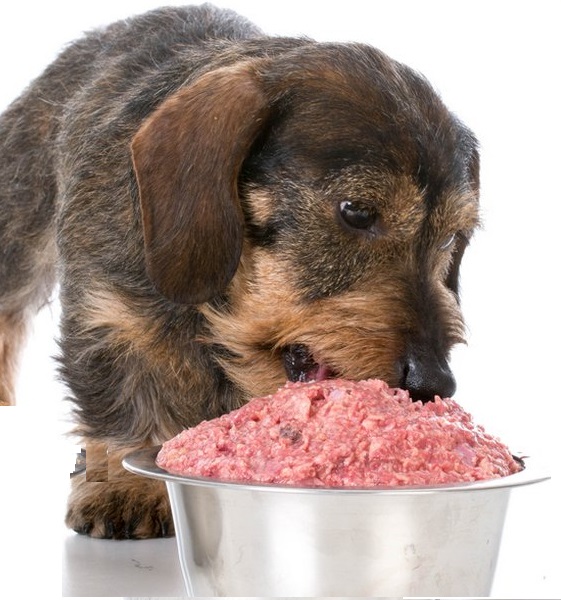 Happy Hounds Wales Ltd recalled frozen raw dog food products due to salmonella