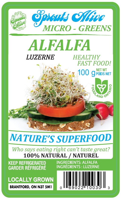 Alfalfa sprouts recalled due to Salmonella In Ontario Canada