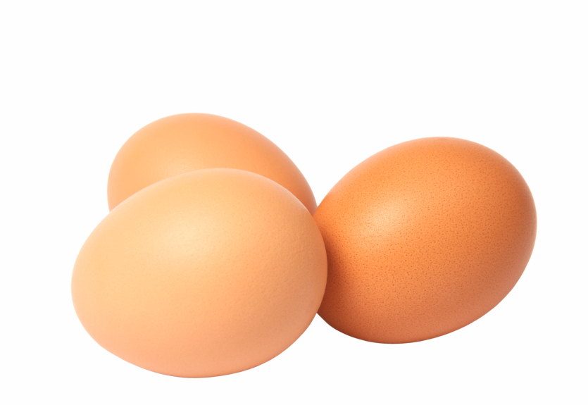 Salmonella contamination in egg shells and contents from retail in Western Australia